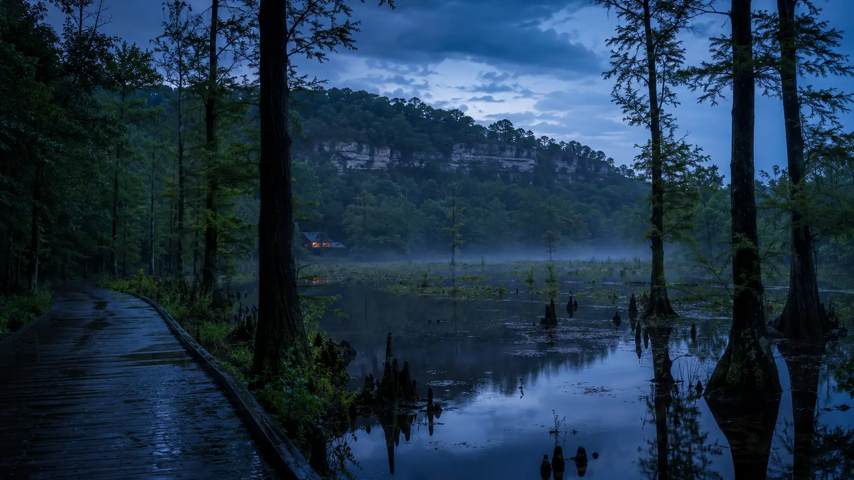 Conceptual after-rain atmosphere for the Shawnee Hills & Southern Illinois chapter